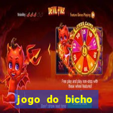 jogo do bicho feira de santana